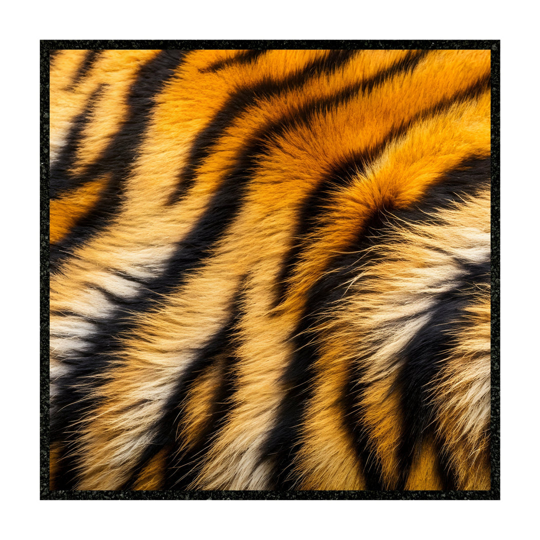 Moodmats - Tiger 12
