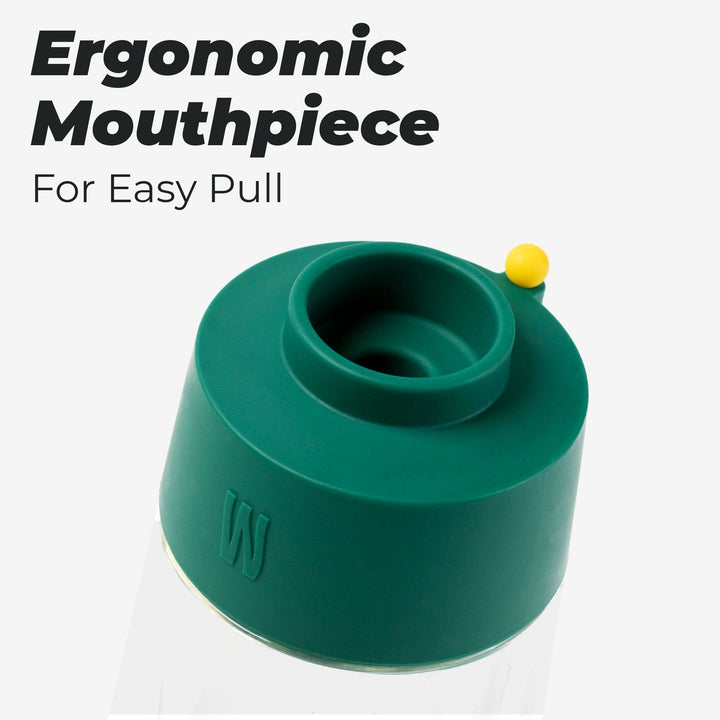 The Gravity Bong - Forest