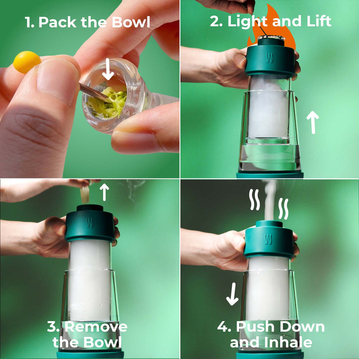 The Gravity Bong - Forest