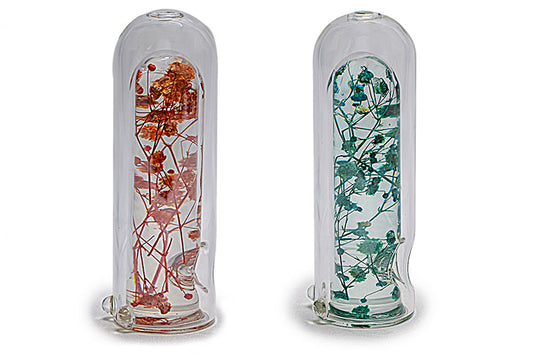 Plants in Capsule Glass Pipe