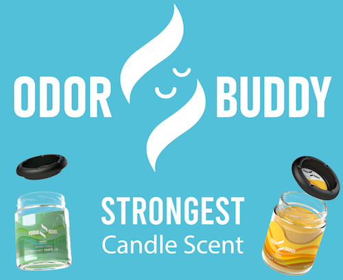 Odor Buddy Candle w / Ashtray Lid